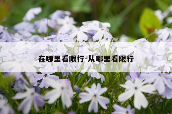在哪里看限行-从哪里看限行