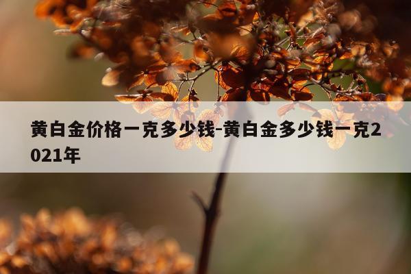 黄白金价格一克多少钱-黄白金多少钱一克2021年