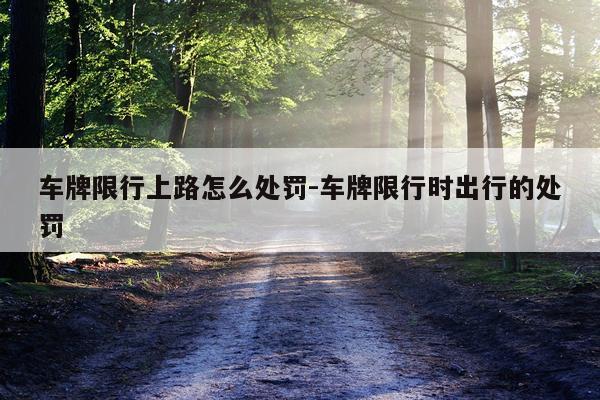 车牌限行上路怎么处罚-车牌限行时出行的处罚