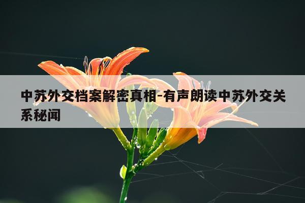 中苏外交档案解密真相-有声朗读中苏外交关系秘闻