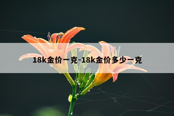 18k金价一克-18k金价多少一克
