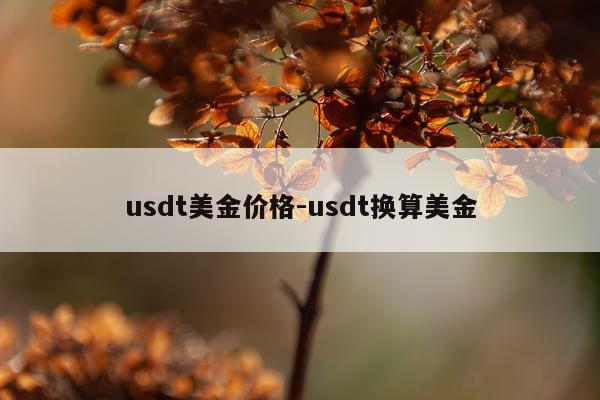 usdt美金价格-usdt换算美金
