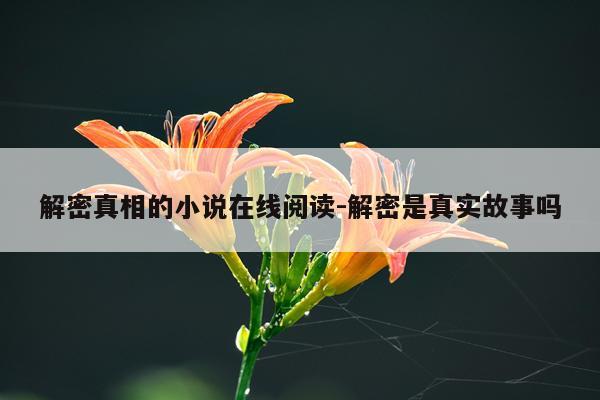 解密真相的小说在线阅读-解密是真实故事吗
