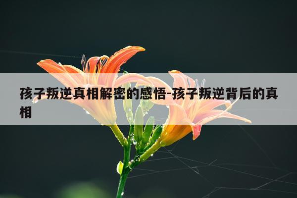孩子叛逆真相解密的感悟-孩子叛逆背后的真相