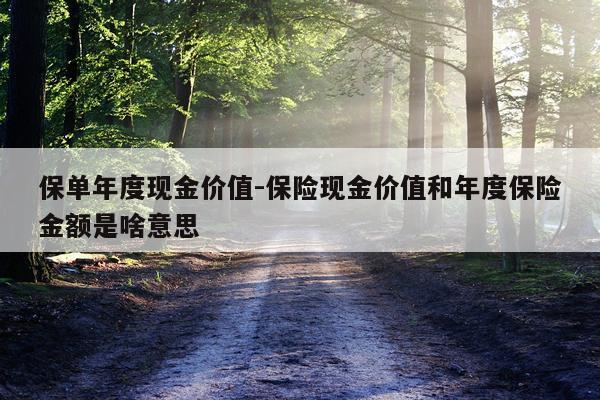 保单年度现金价值-保险现金价值和年度保险金额是啥意思
