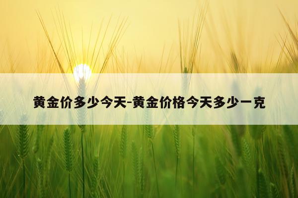 黄金价多少今天-黄金价格今天多少一克