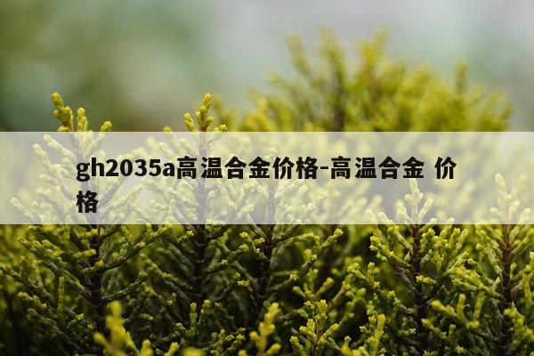 gh2035a高温合金价格-高温合金 价格