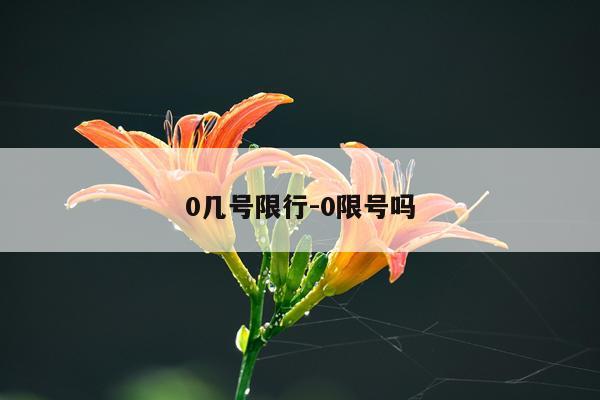 0几号限行-0限号吗