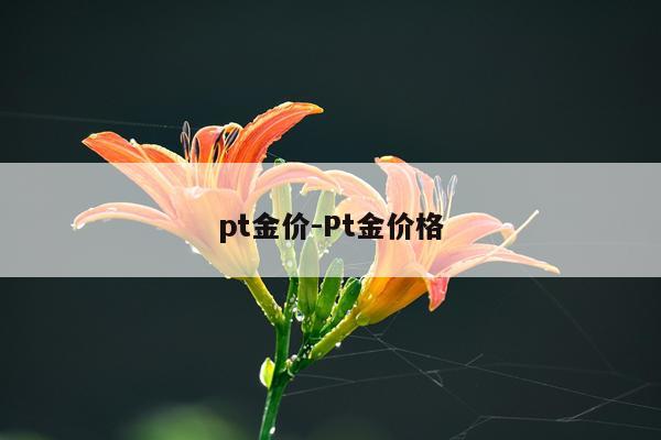 pt金价-Pt金价格