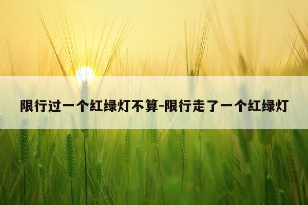 限行过一个红绿灯不算-限行走了一个红绿灯