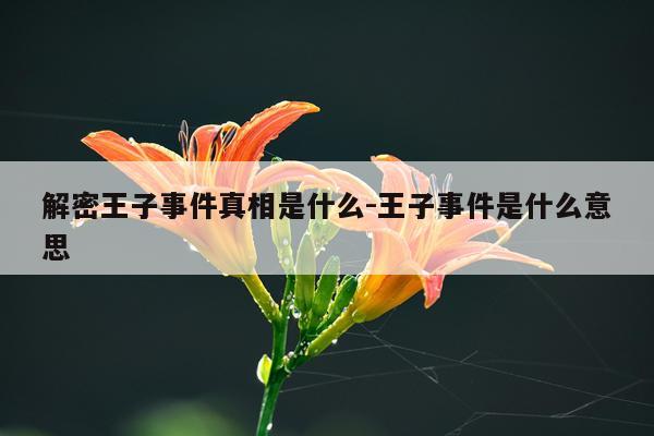 解密王子事件真相是什么-王子事件是什么意思