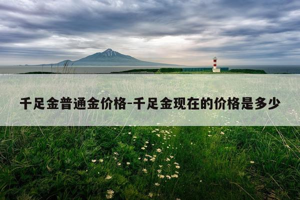 千足金普通金价格-千足金现在的价格是多少