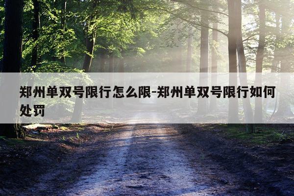 郑州单双号限行怎么限-郑州单双号限行如何处罚