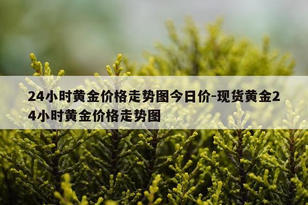 24小时黄金价格走势图今日价-现货黄金24小时黄金价格走势图