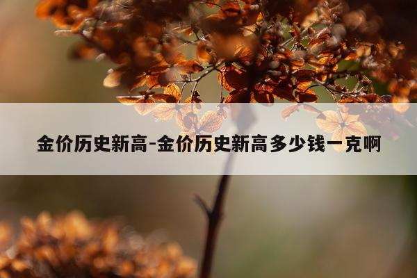 金价历史新高-金价历史新高多少钱一克啊