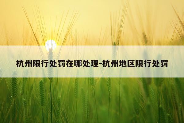 杭州限行处罚在哪处理-杭州地区限行处罚