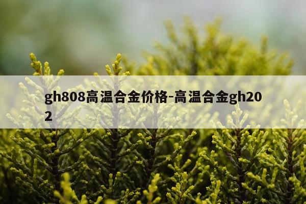 gh808高温合金价格-高温合金gh202