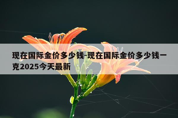 现在国际金价多少钱-现在国际金价多少钱一克2025今天最新