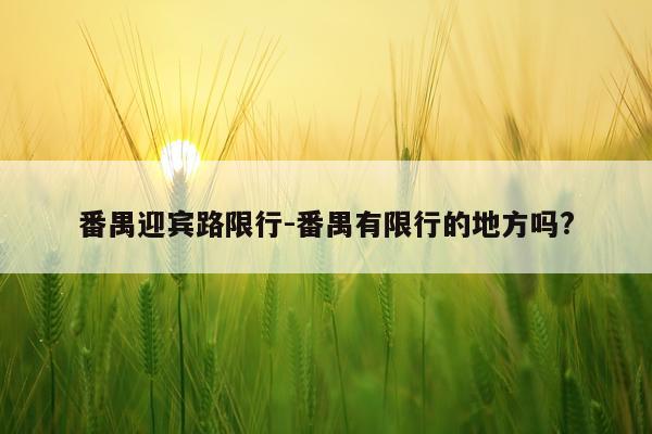 番禺迎宾路限行-番禺有限行的地方吗?
