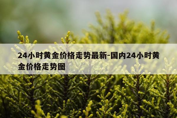 24小时黄金价格走势最新-国内24小时黄金价格走势图