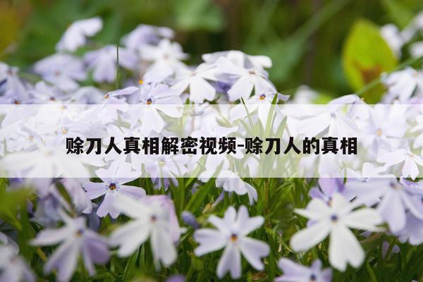 赊刀人真相解密视频-赊刀人的真相