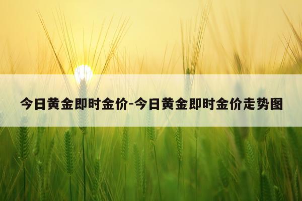 今日黄金即时金价-今日黄金即时金价走势图