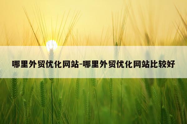 哪里外贸优化网站-哪里外贸优化网站比较好