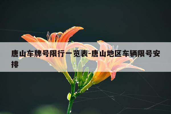 唐山车牌号限行一览表-唐山地区车辆限号安排