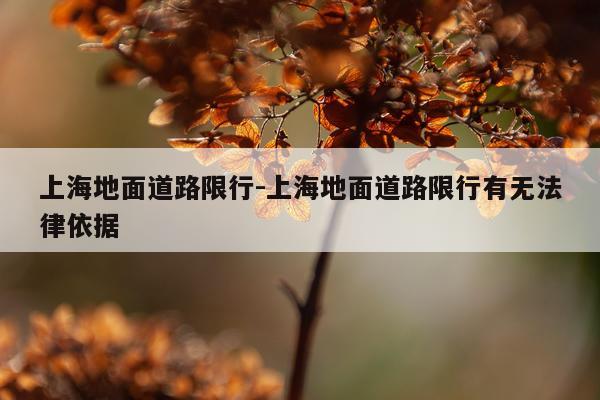 上海地面道路限行-上海地面道路限行有无法律依据