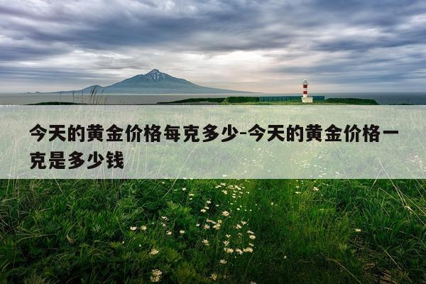 今天的黄金价格每克多少-今天的黄金价格一克是多少钱