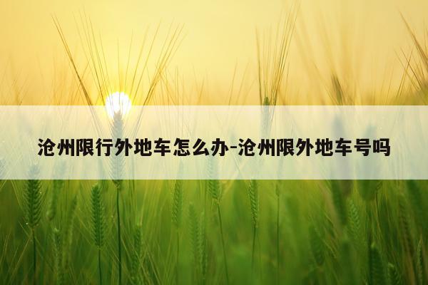 沧州限行外地车怎么办-沧州限外地车号吗