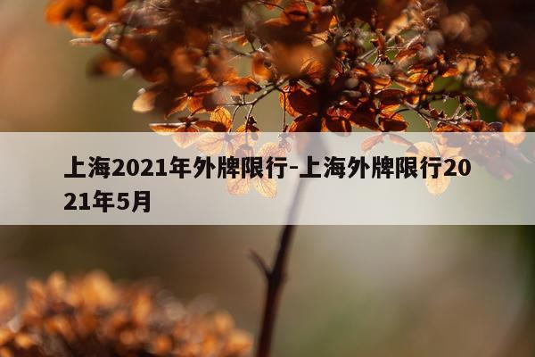 上海2021年外牌限行-上海外牌限行2021年5月