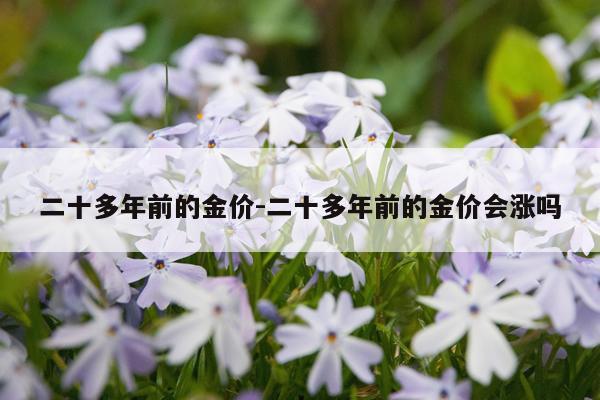 二十多年前的金价-二十多年前的金价会涨吗