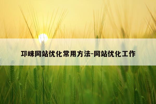 邛崃网站优化常用方法-网站优化工作