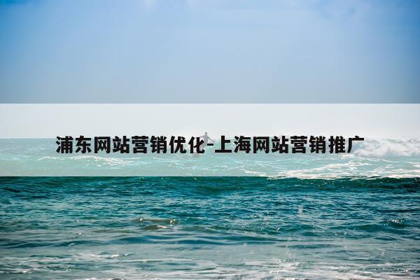 浦东网站营销优化-上海网站营销推广