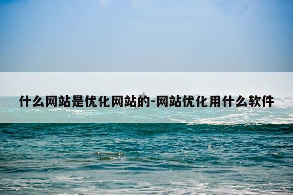 什么网站是优化网站的-网站优化用什么软件