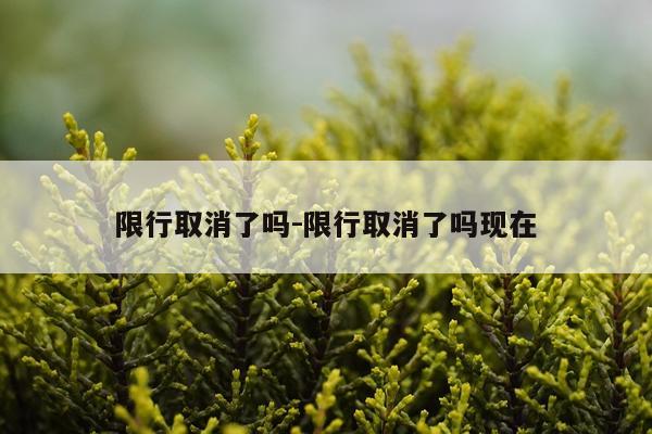 限行取消了吗-限行取消了吗现在