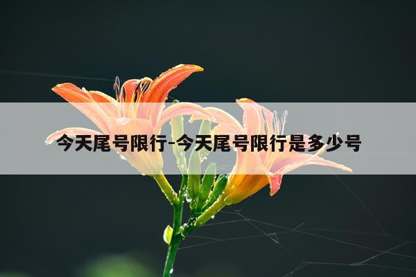 今天尾号限行-今天尾号限行是多少号
