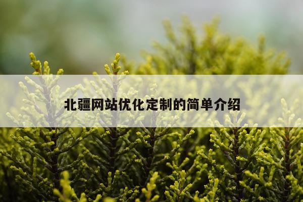 北疆网站优化定制的简单介绍