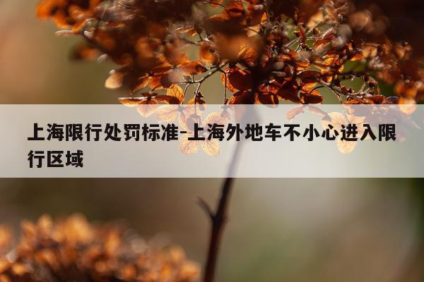 上海限行处罚标准-上海外地车不小心进入限行区域