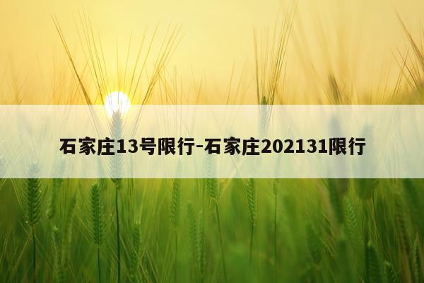 石家庄13号限行-石家庄202131限行
