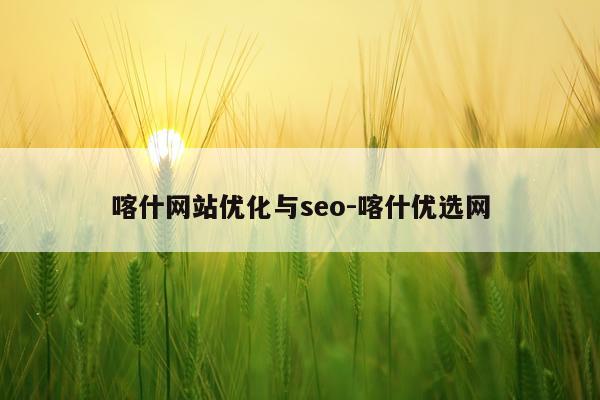 喀什网站优化与seo-喀什优选网