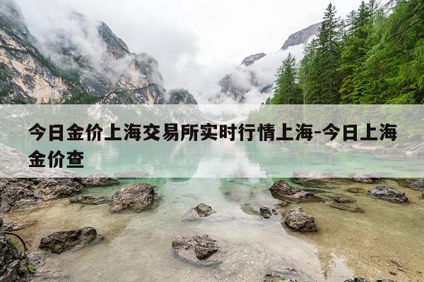 今日金价上海交易所实时行情上海-今日上海金价查