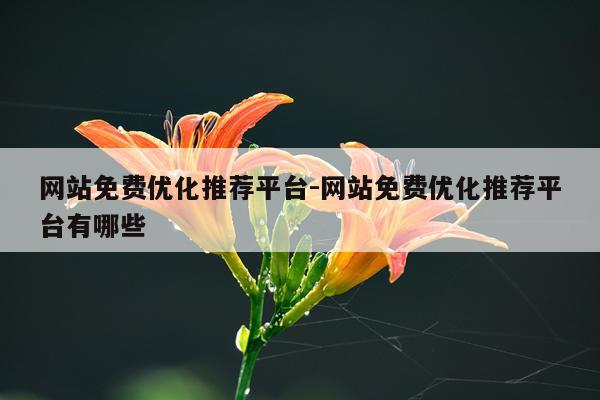 网站免费优化推荐平台-网站免费优化推荐平台有哪些