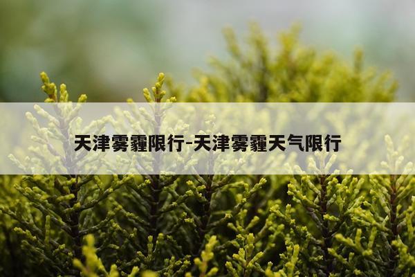 天津雾霾限行-天津雾霾天气限行