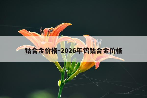 钴合金价格-2026年钨钴合金价格