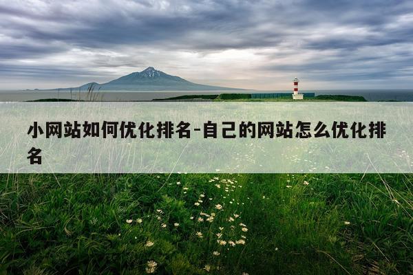 小网站如何优化排名-自己的网站怎么优化排名