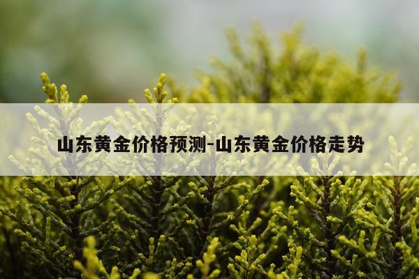 山东黄金价格预测-山东黄金价格走势