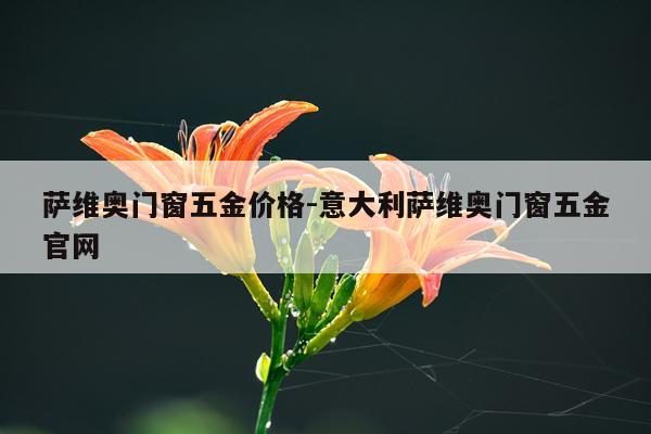 萨维奥门窗五金价格-意大利萨维奥门窗五金官网