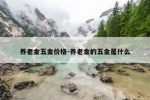 养老金五金价格-养老金的五金是什么
